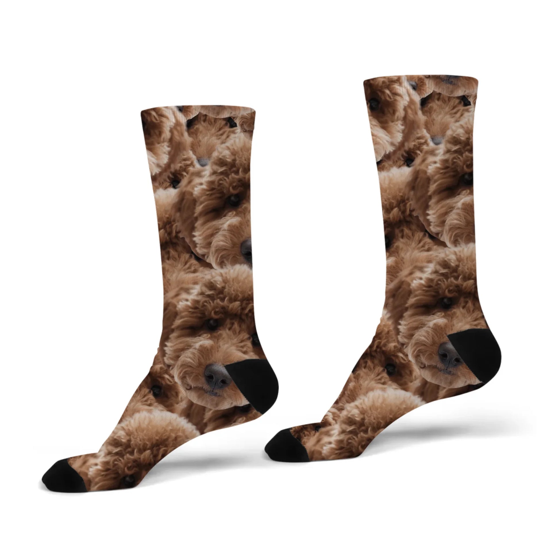 egyedi fényképes női zokni arckavalkád