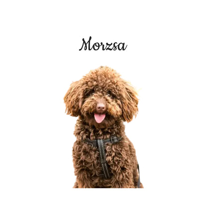 Egyedi Fényképes Kutyás Párna Névvel