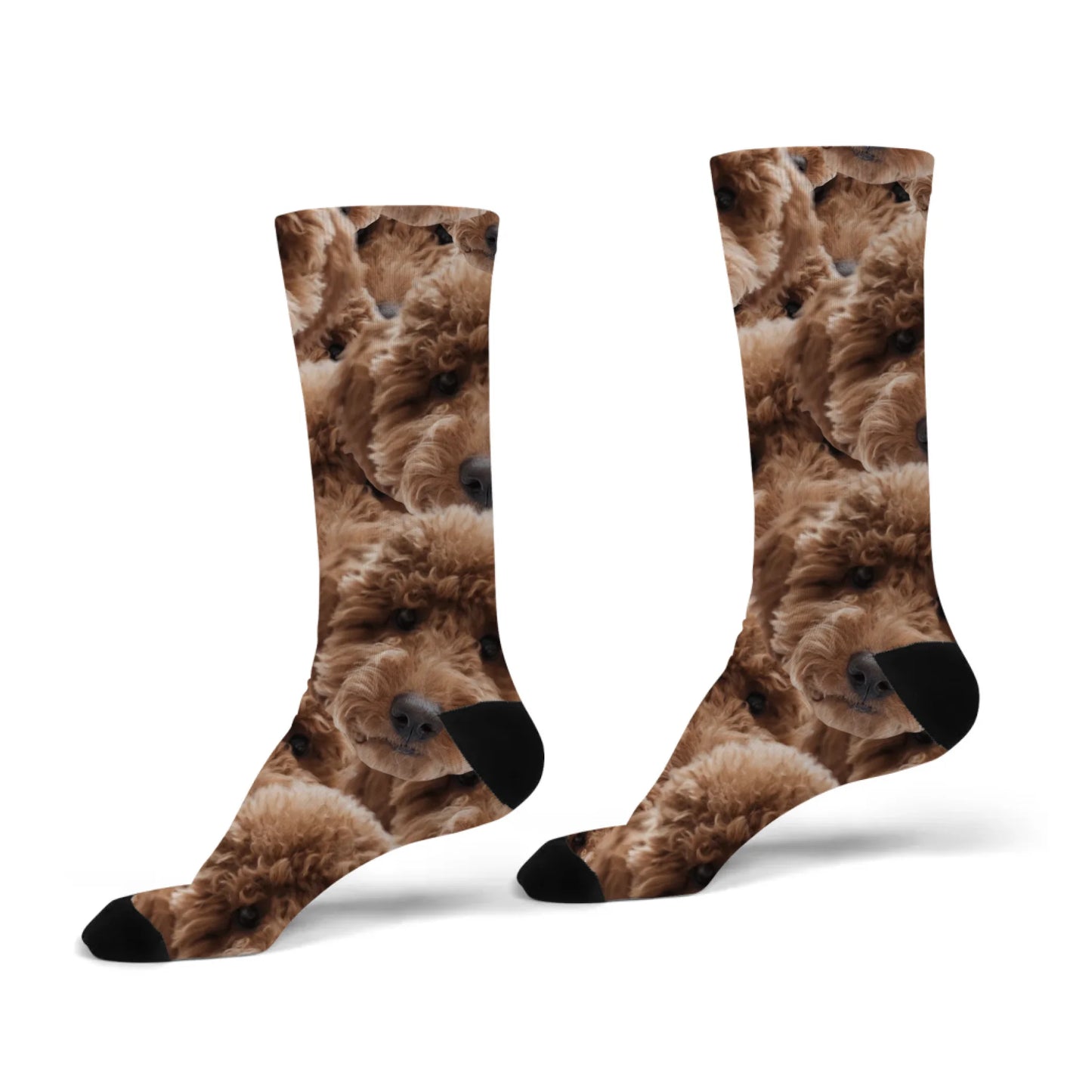 egyedi fényképes női zokni arckavalkád